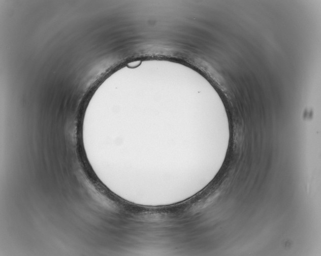 X0000089830629200707262024