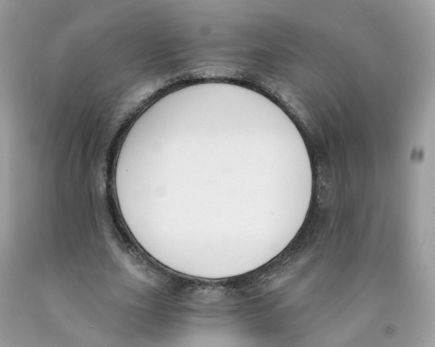 X0000089830631200707262024