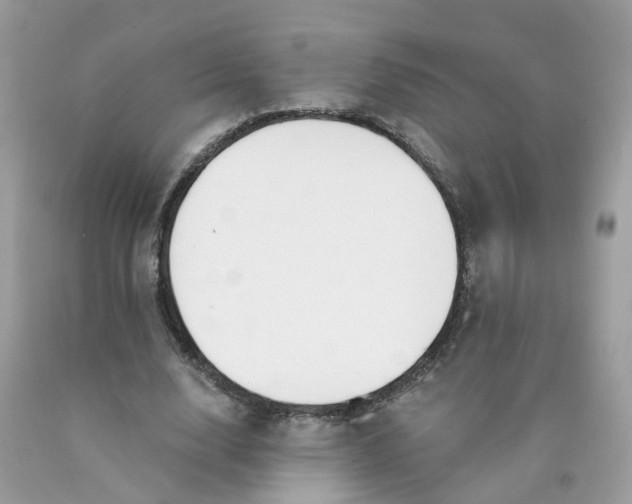 X0000089830632200707262024