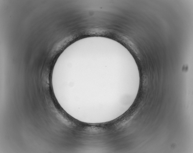 X0000089830633200707262024