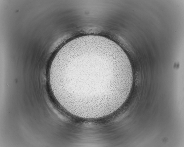 X0000089830634200707262024