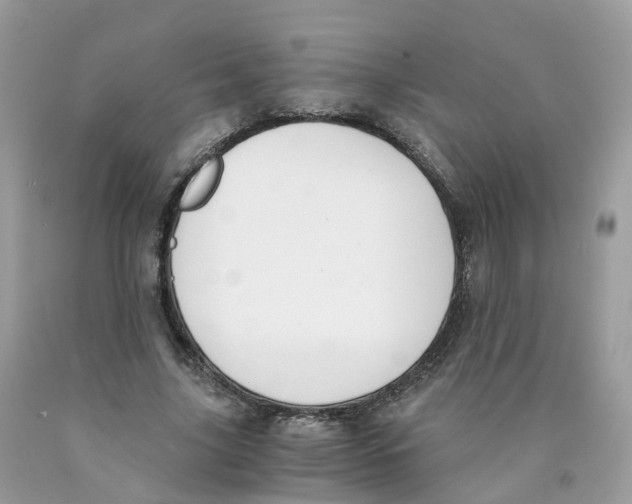 X0000089830635200707262024