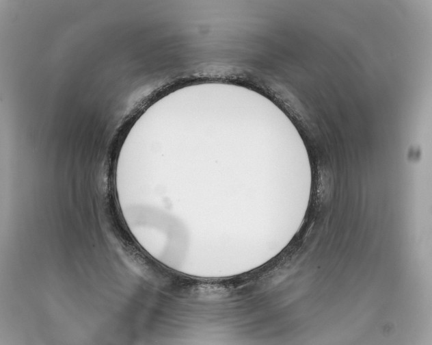 X0000089830636200707262024