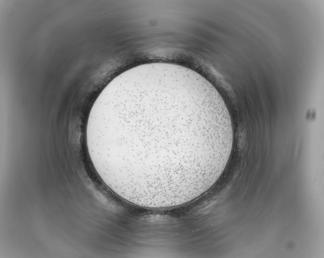 X0000089830637200707262024