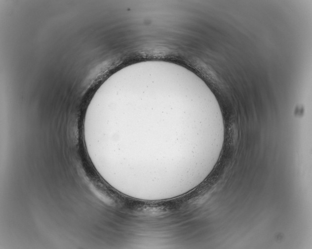 X0000089830638200707262024