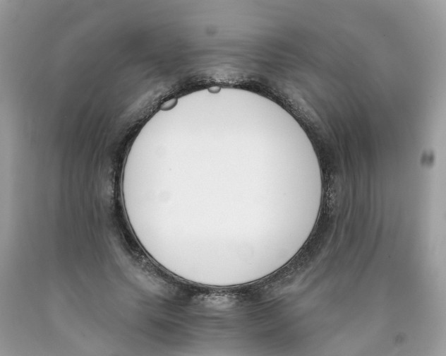 X0000089830639200707262024