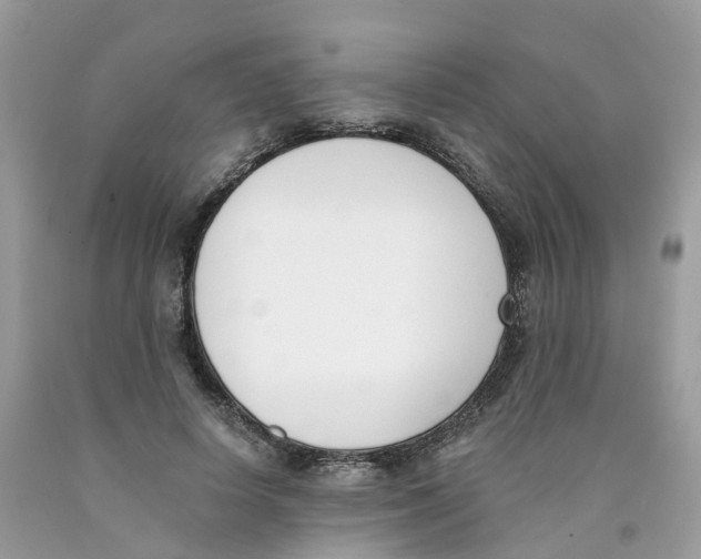 X0000089830642200707262024