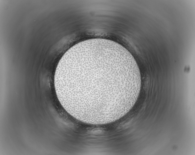 X0000089830643200707262024