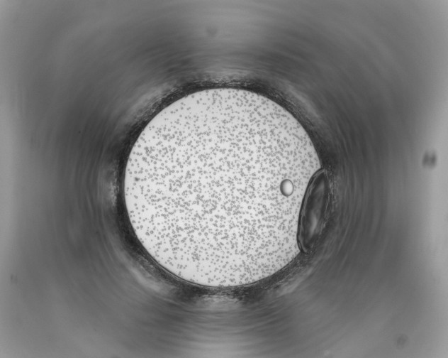 X0000089830644200707262024