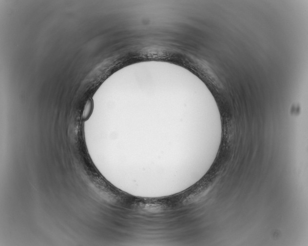 X0000089830645200707262024
