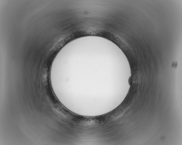 X0000089830646200707262024