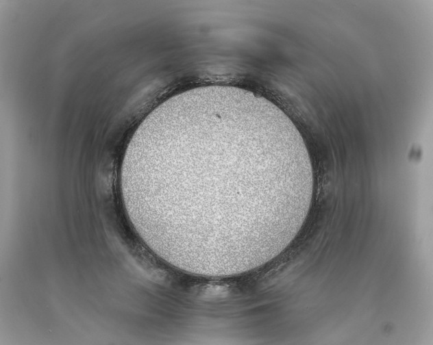 X0000089830647200707262024