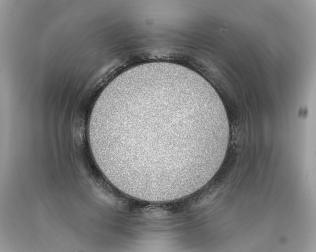 X0000089830648200707262024