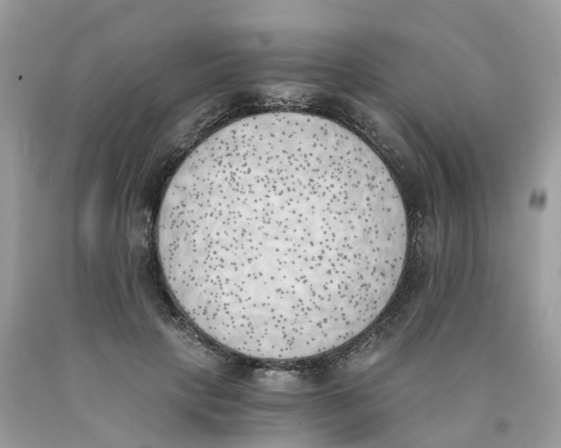 X0000089830649200707262024
