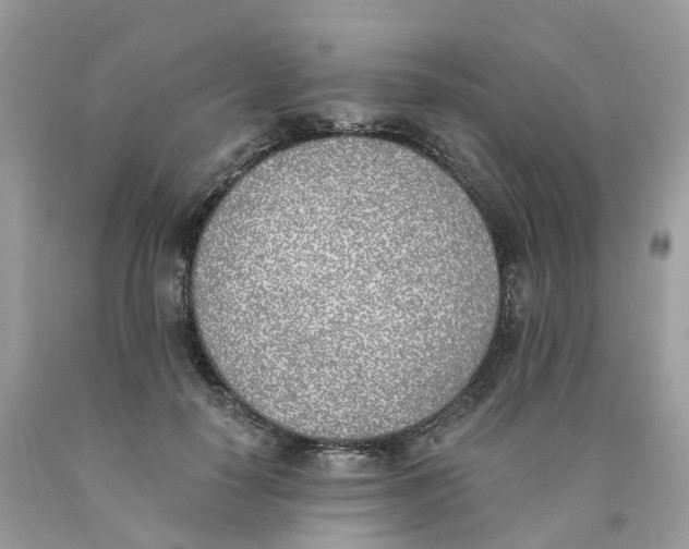 X0000089830650200707262024