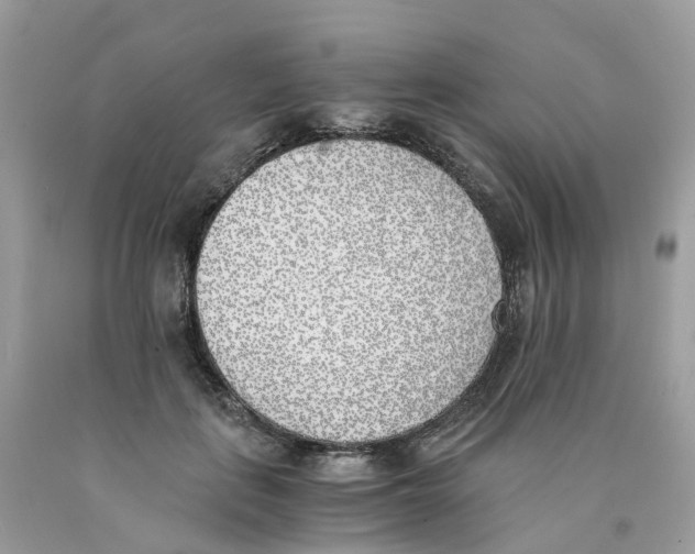 X0000089830651200707262024