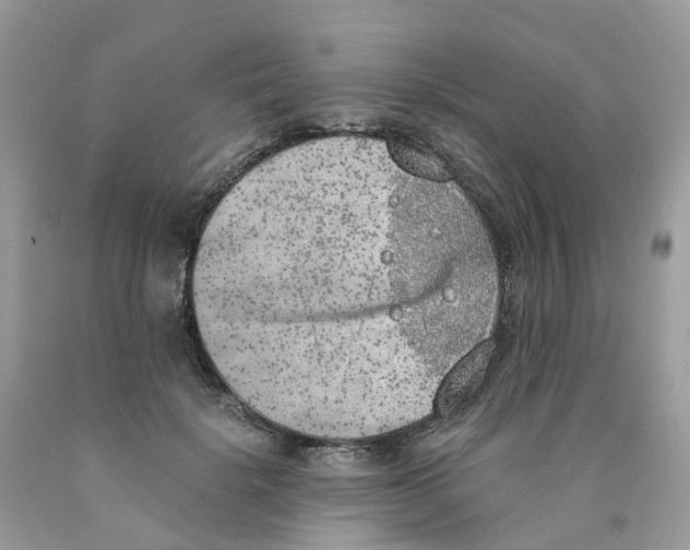 X0000089830652200707262024