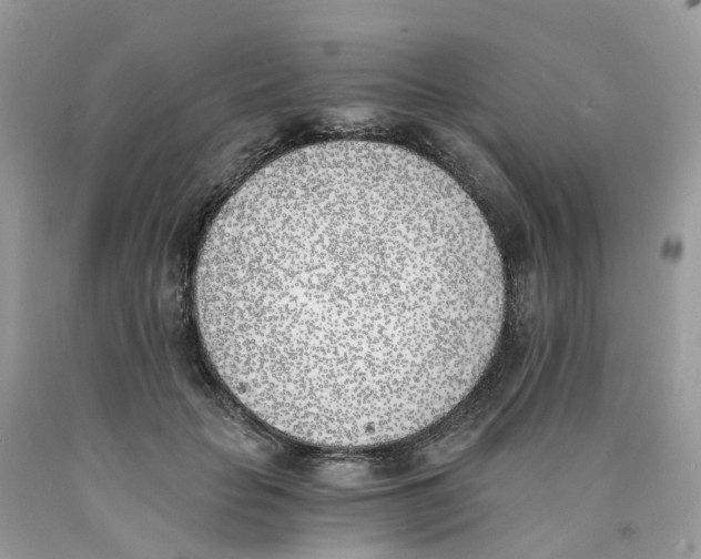 X0000089830653200707262024