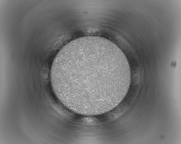 X0000089830654200707262024