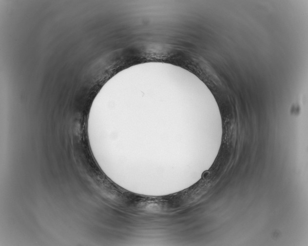 X0000089830655200707262024