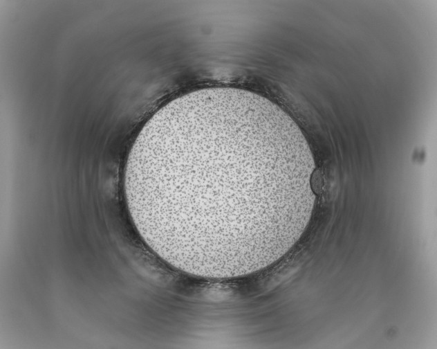 X0000089830656200707262024