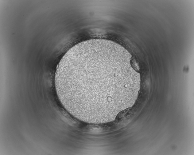 X0000089830658200707262024