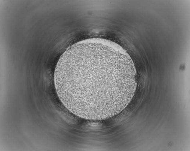 X0000089830659200707262025