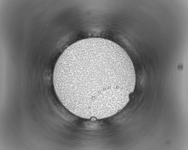 X0000089830661200707262025
