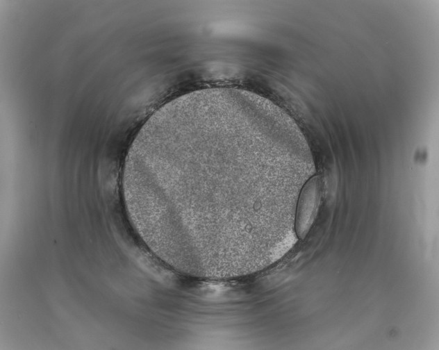 X0000089830662200707262025