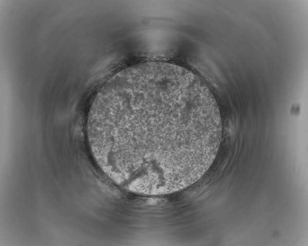 X0000089830663200707262025