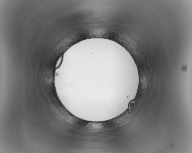 X0000089830665200707262025