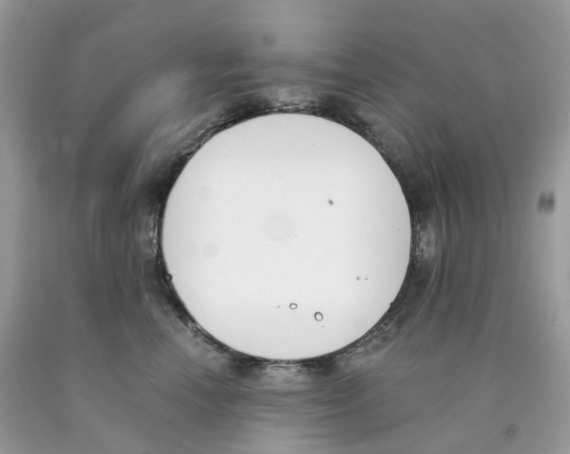 X0000089830666200707262025