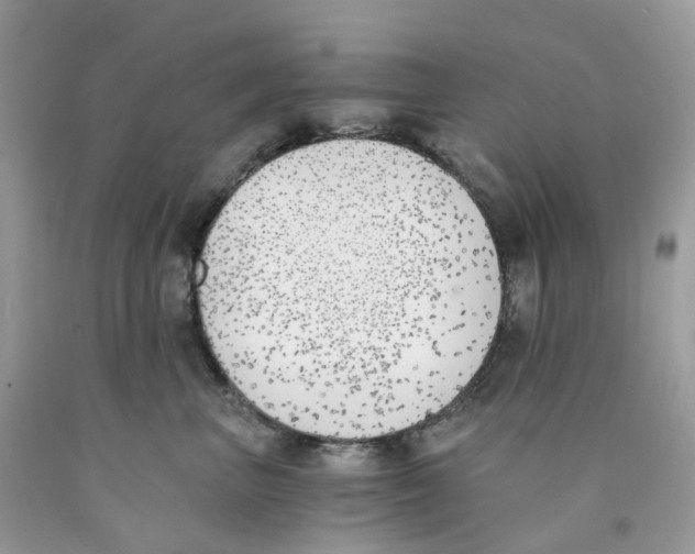 X0000089830667200707262025