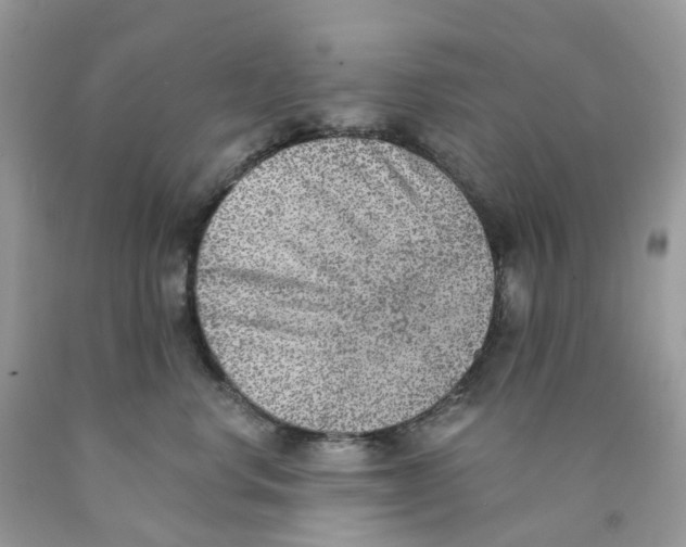 X0000089830668200707262025