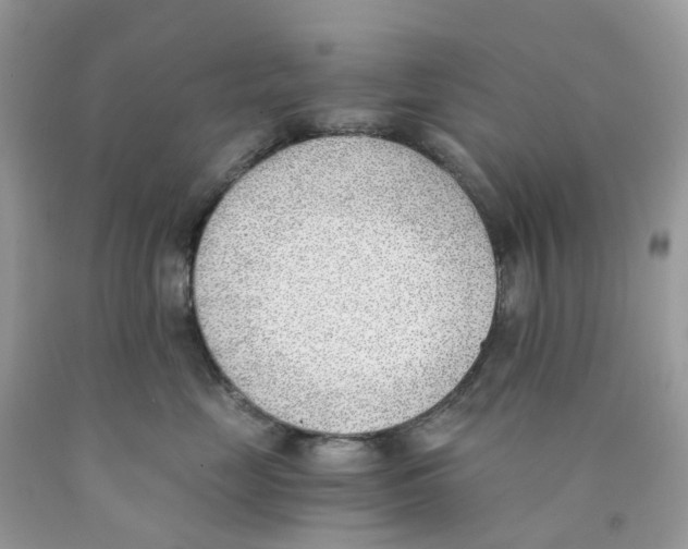 X0000089830669200707262025