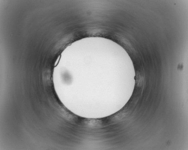 X0000089830670200707262025