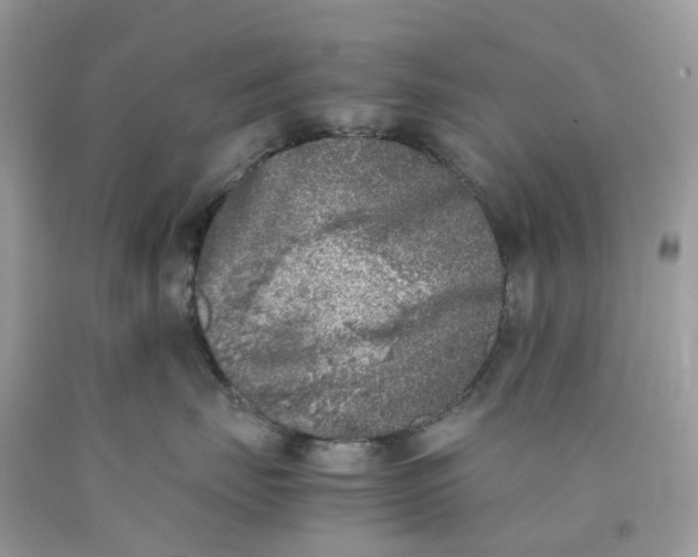 X0000089830671200707262025