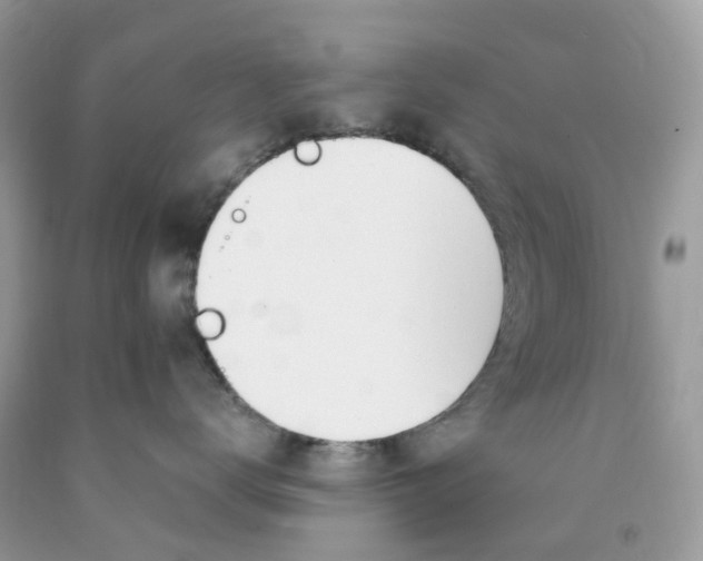 X0000089830672200707262025
