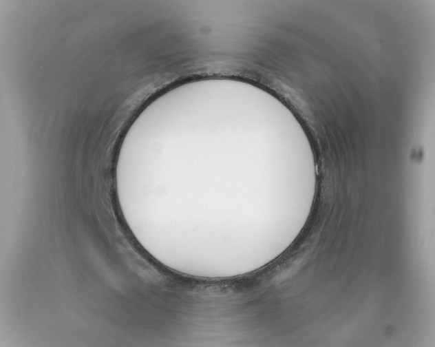 X0000089830673200707262024