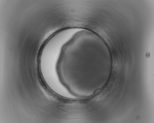 X0000089830674200707262024