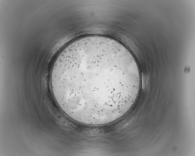 X0000089830675200707262024