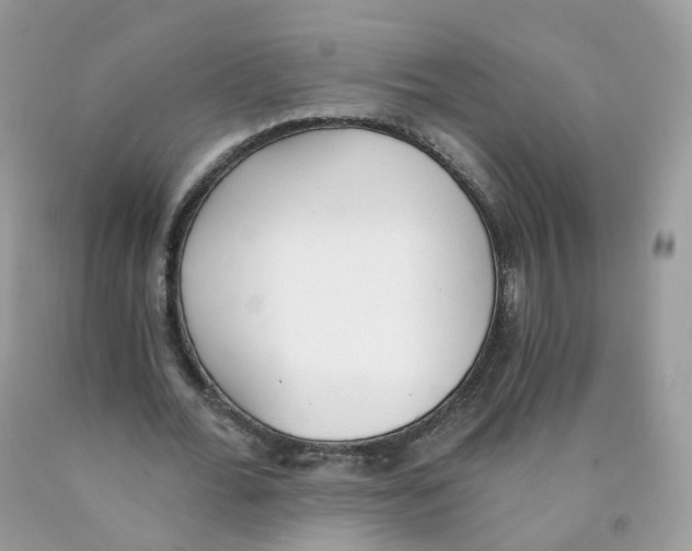 X0000089830676200707262024