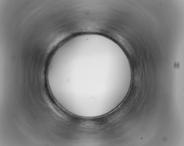 X0000089830677200707262024
