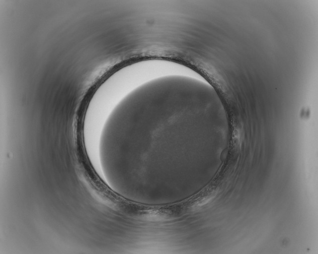 X0000089830678200707262024