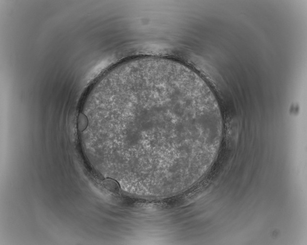 X0000089830679200707262024