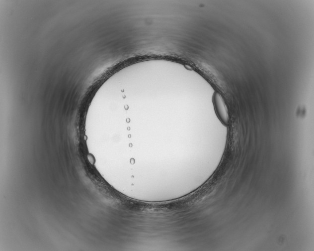 X0000089830680200707262024