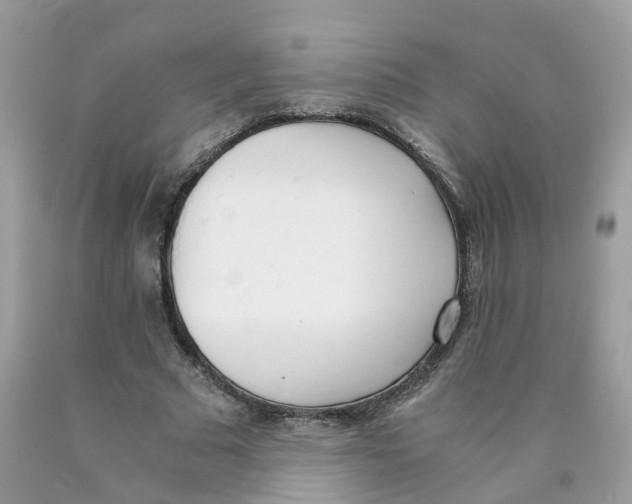 X0000089830681200707262024