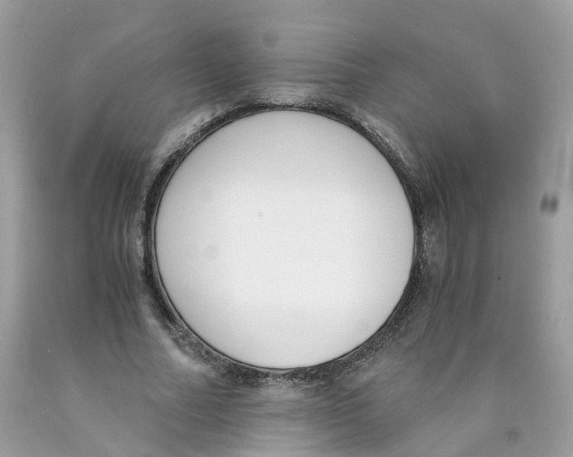 X0000089830682200707262024