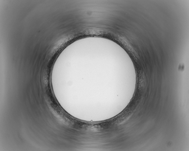 X0000089830683200707262024