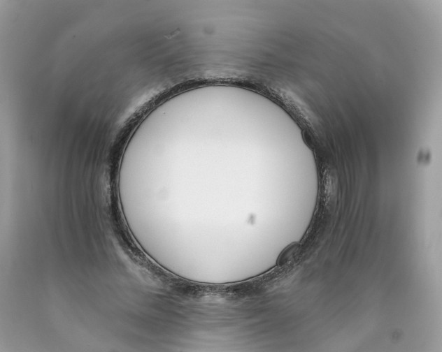 X0000089830684200707262024